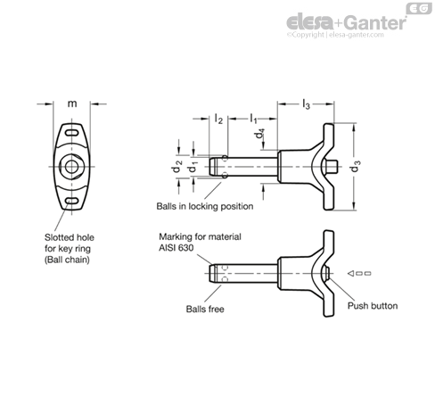 GN 113.8 Stainless Steel-Ball lock pins | Elesa+Ganter
